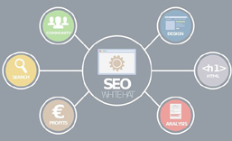 布吉网站SEO 优化  推广